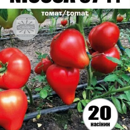 Ніцсса 97 F1 20 насінин томат