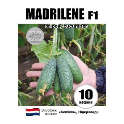 МАДРІЛЕН F1 / MADRILENE F1 10 насіння огірок
