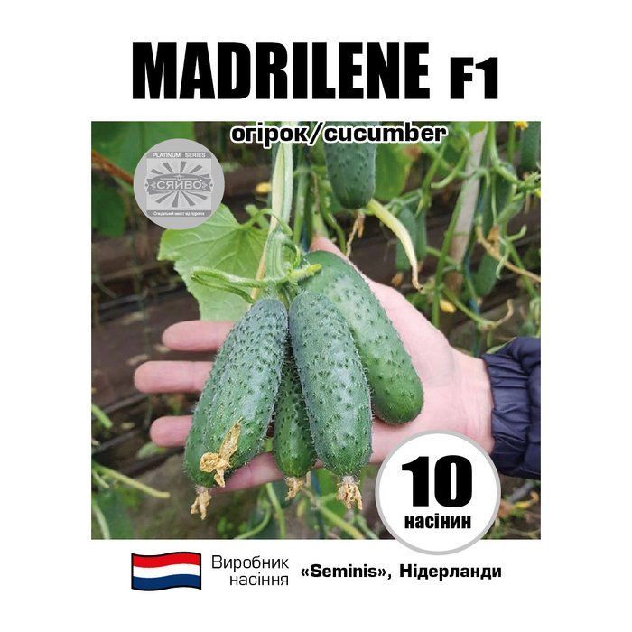 МАДРІЛЕН F1 / MADRILENE F1 10 насіння огірок