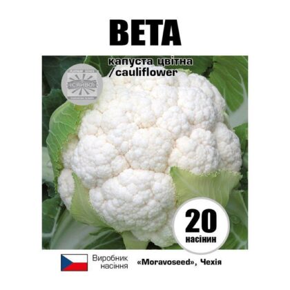 БЕТА/ ВЕТА 20 насіння капусти кольорове