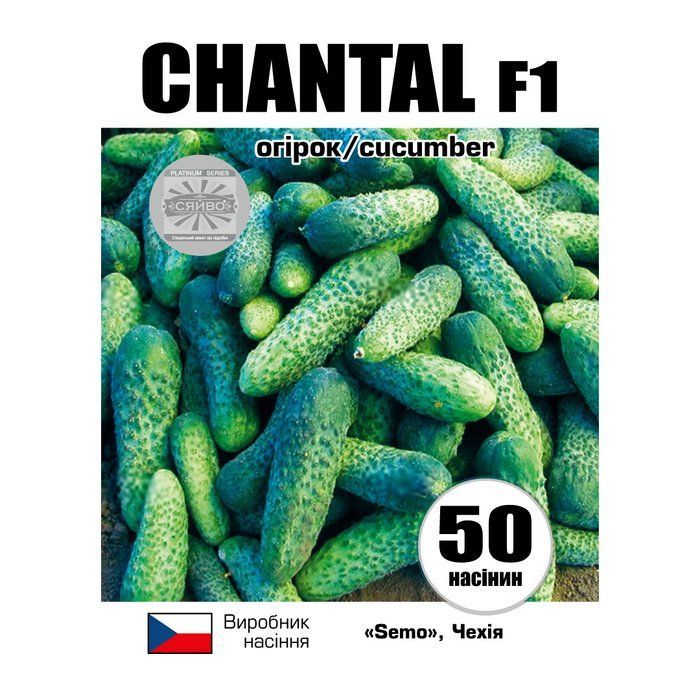 ШАНТАЛЬ F1 / CHANTAL F1 50 насіння огірок