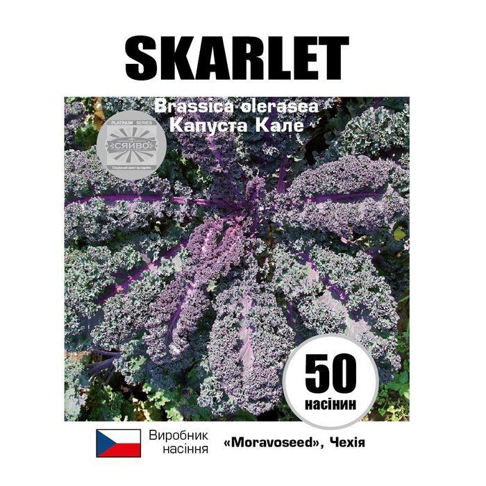 Скарлет/SKARLET 50 насіння капусти кале