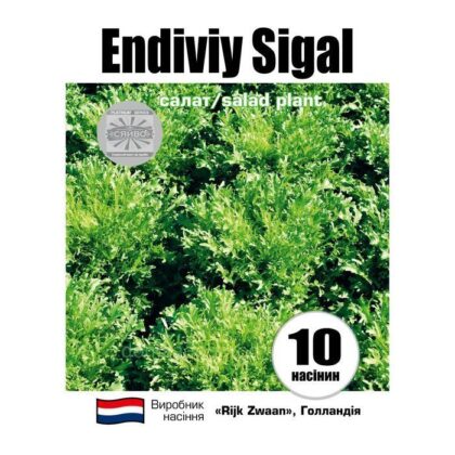Ендівій Сигал / ENDIVIY SIGAL 10 насінин салат