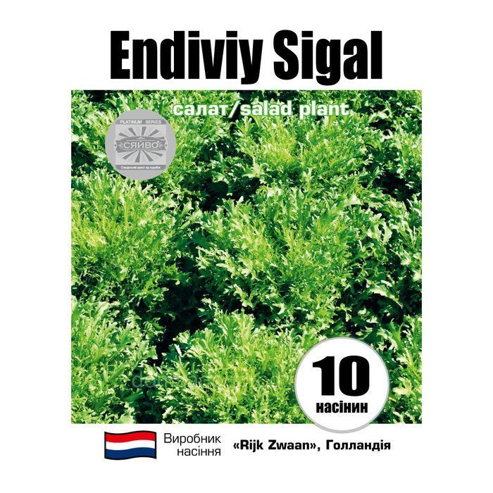 Ендівій Сигал / ENDIVIY SIGAL 10 насінин салат