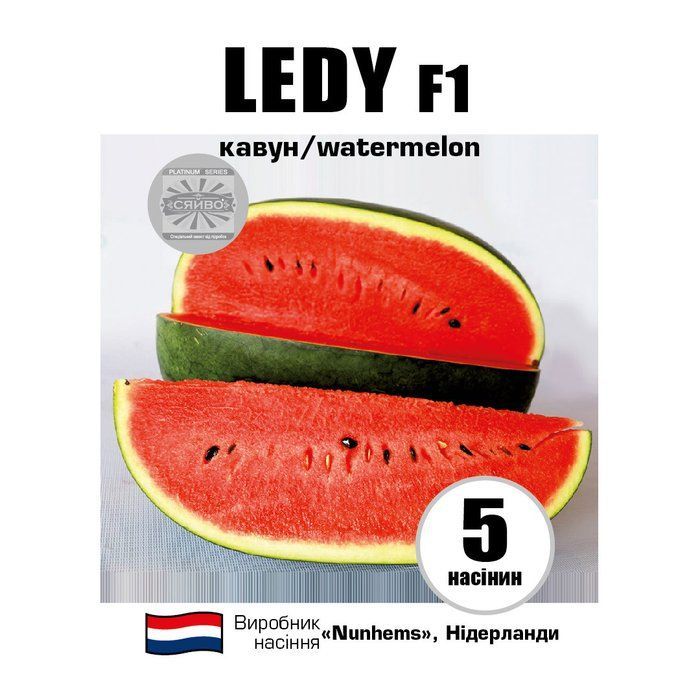 Леді F1/Ledy F1 5 насіння кавун