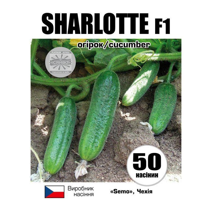 ШАРЛОТА F1 / SHARLOTTE F1 50 насіння огірок