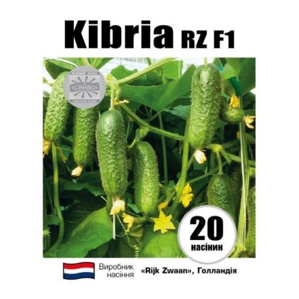 Кібрія RZ F1/Kybria RZ F1 20 насіння огірок