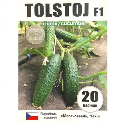Толстой / Tolstoj 20 насіння огірок