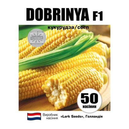 Добриня F1/Dobrinya F1 50 насіння кукурудза