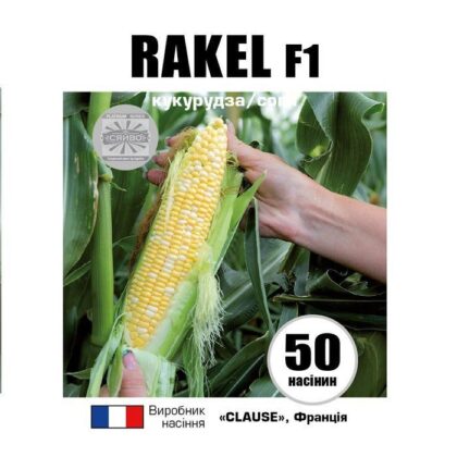 РАКЕЛЬ F1 / RAKEL F1 50 насінин кукурудза