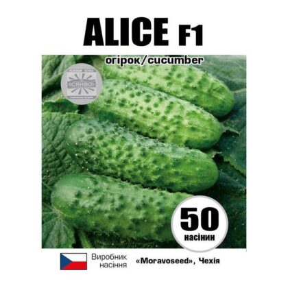 АЛІЦІ F1 / ALICE F1 50 насіння огірок