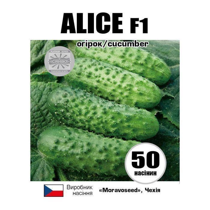 АЛІЦІ F1 / ALICE F1 50 насіння огірок