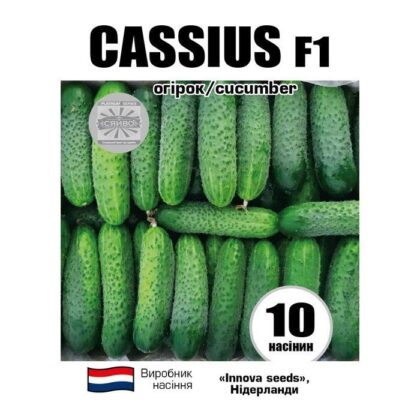 KACIУC F1 / CASSIUSF1 10 насіння огірок