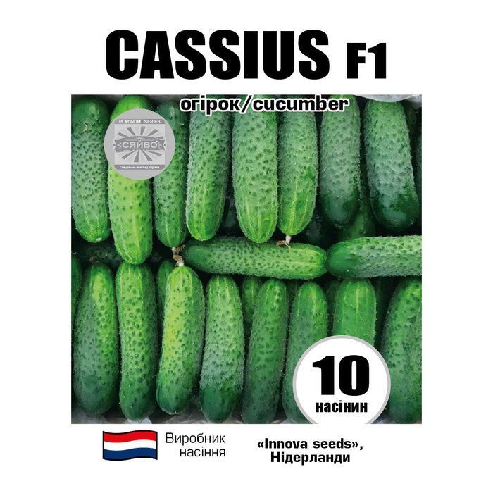 KACIУC F1 / CASSIUSF1 10 насіння огірок