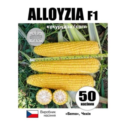 АЛОЙЗІЯ F1 / ALLOYZIA F1 50 насіння кукурудза