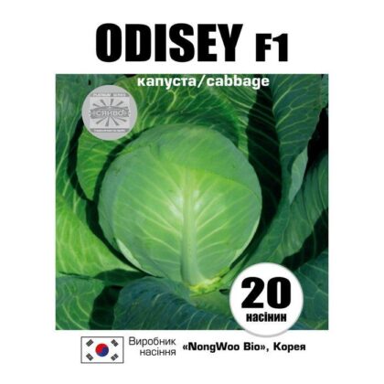 Одісей F1 / ODISEY F1 20 насіння капусти