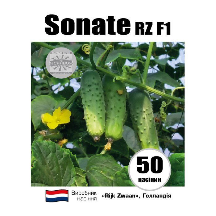 Соната RZ F1/Sonate RZ F1 50 насінин огірок