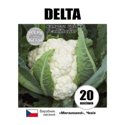 ДЕЛЬТА/DELTA 20 насіння капусти кольорове