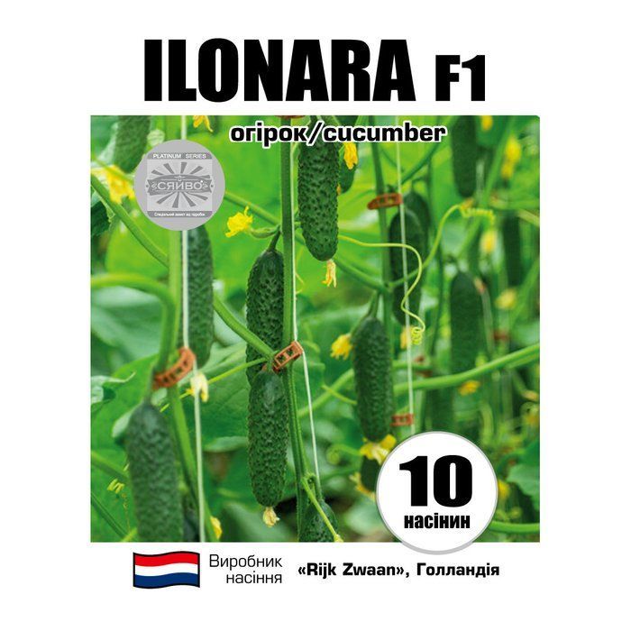 ІЛОНАРА RZ F1/ILONARA RZ F1 10 насіння огірок